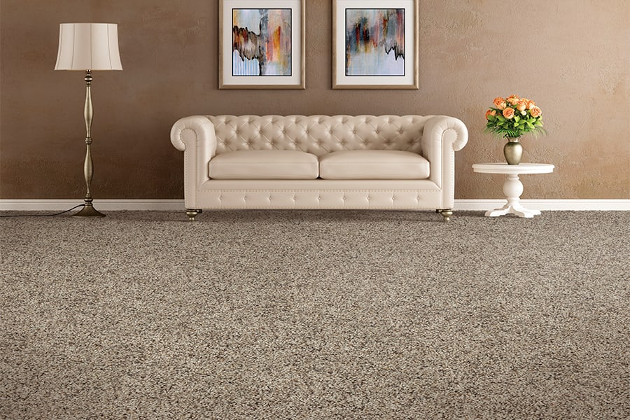 Carpet gallery